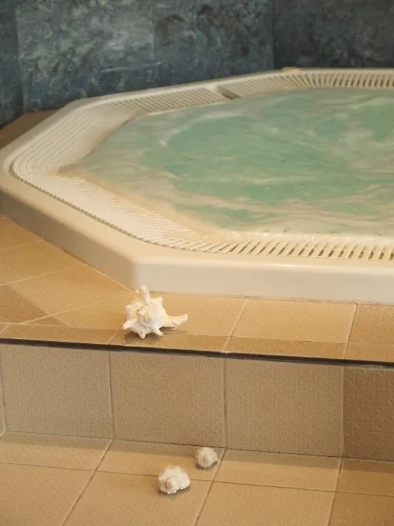 Wellness Hotel Jean De Carro Karlovy Vary